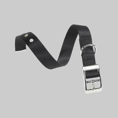 COLLARE PER CANI &#39;CLUB CF&#39; 15 mm x 27 - 35 cm - colore nero
