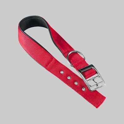 COLLARE PER CANI &#39;DAYTONA C&#39; 15 mm x 27 - 35 cm - colore rosso
