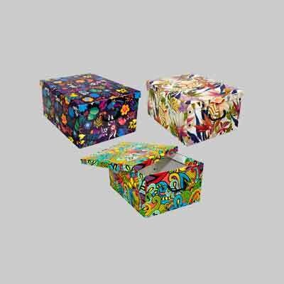 CONTENITORE MULTIUSO &#39;BIG BOX FANTASY&#39; cm 81x41x51h