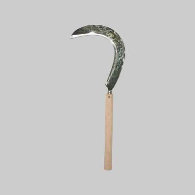 FALCIOLA PER BIETOLE 50 cm