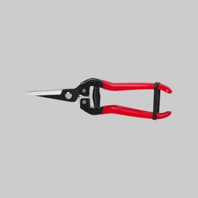 FORBICI COGLIFRUTTA E ORTAGGI IDEAL STAR 19 cm