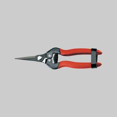 FORBICI COGLIFRUTTA E ORTAGGI AUSONIA 19 cm