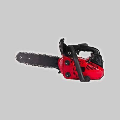 MOTOSEGA DA POTA A SCOPPIO IDEAL STAR 25C lama 25 cm