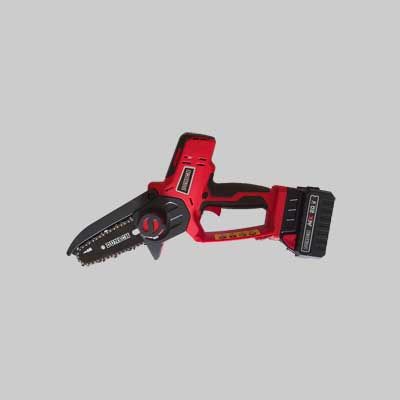 MOTOSEGA DA POTA A BATTERIA &#39;DUNSCH&#39; barra 10 cm