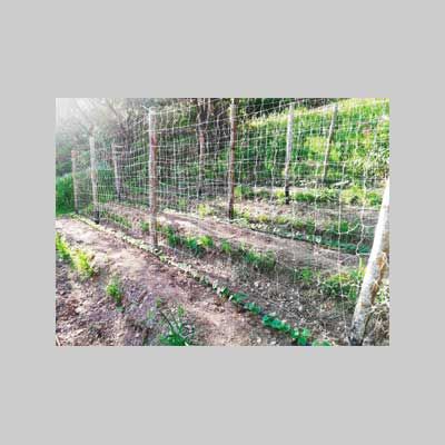RETE RAMPICANTE IDEAL STAR 1,5x10 mt - colore bianco