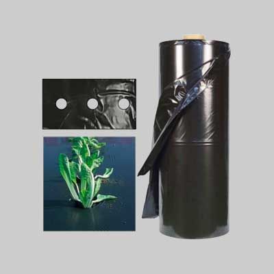 FOGLIA PACCIAMATURA NERA FORATA h. 1 mt - passo 30 cm - circa 1087 ml