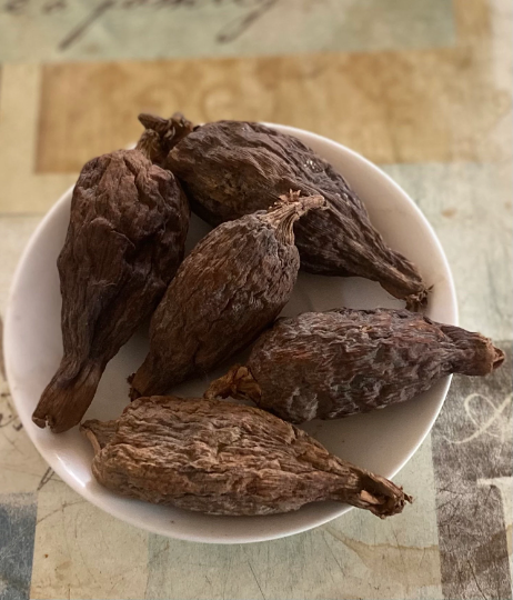 Alligator Pepper Pods