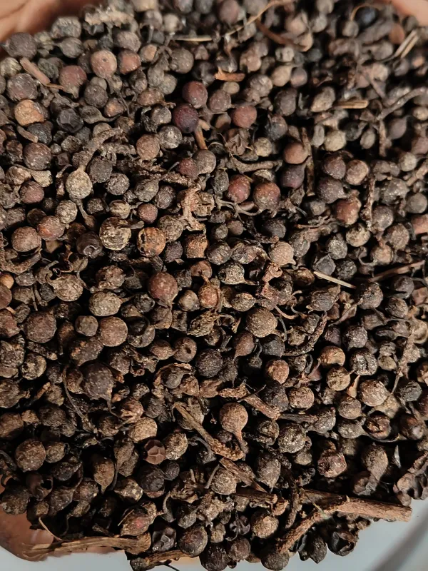 Uziza Seeds 500ml Uziza Seeds 500ml