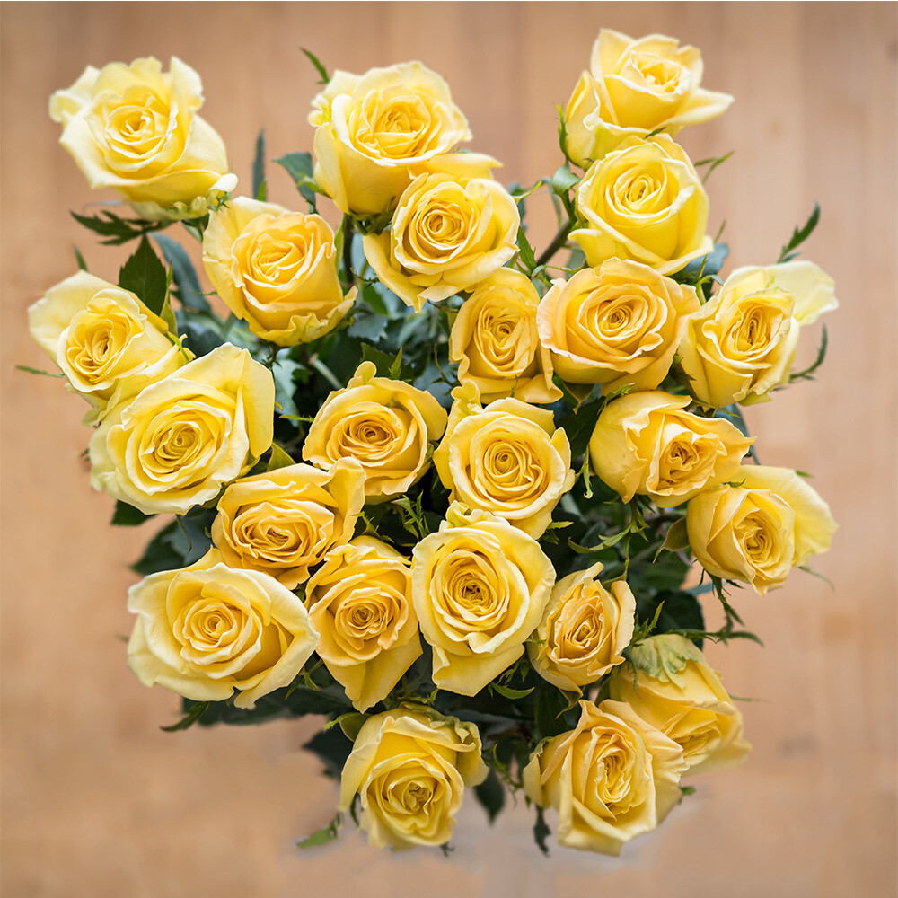 12 Yellow Roses