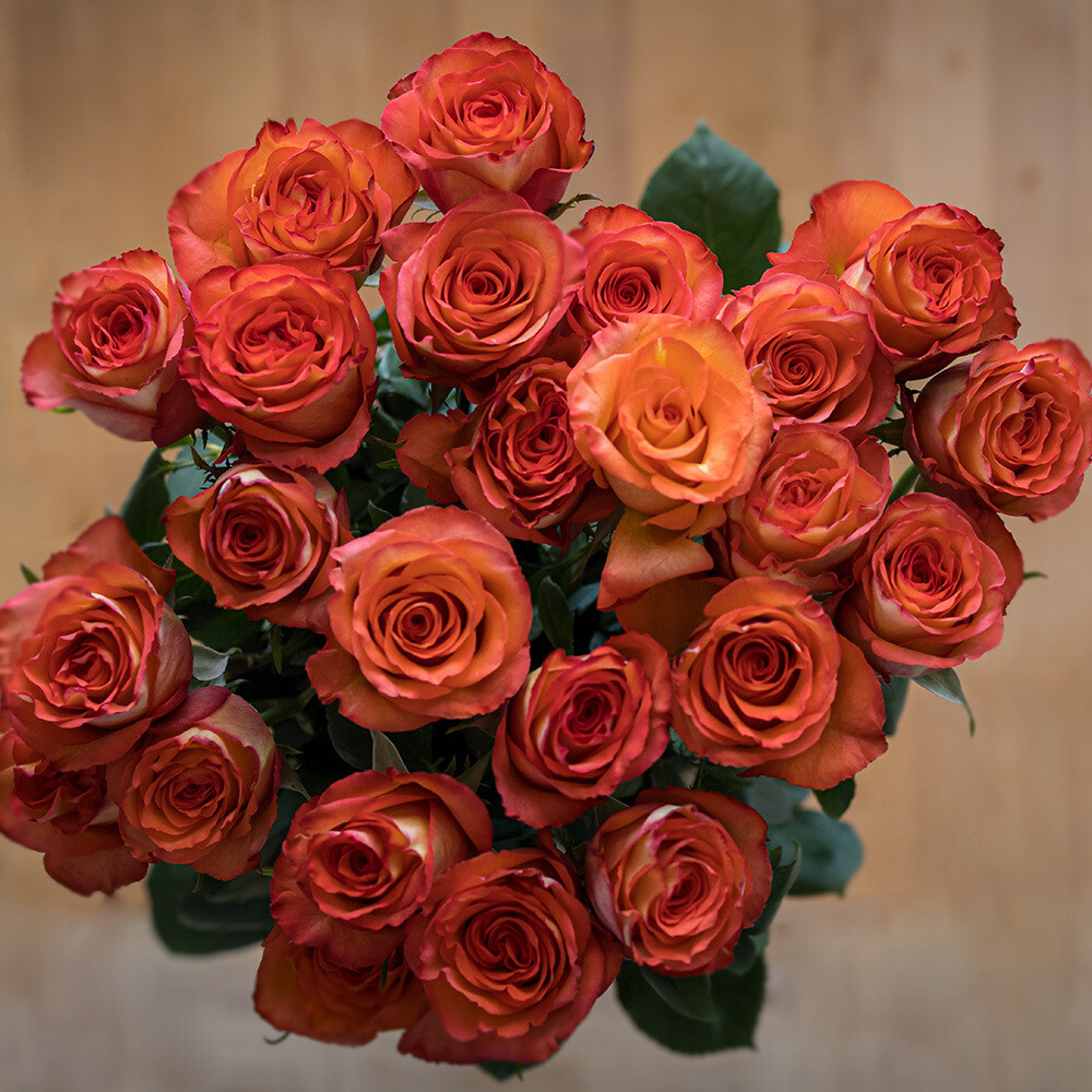 24 Orange Roses
