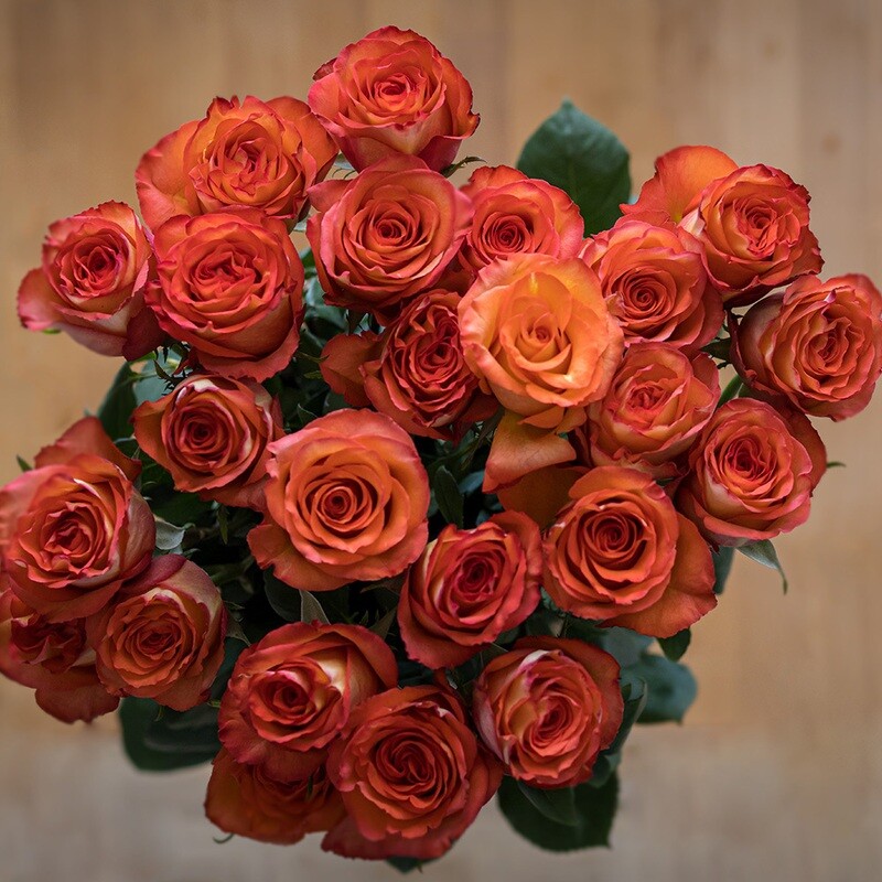 12 Orange Roses