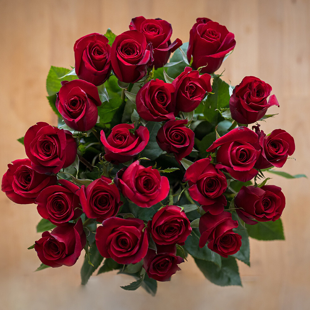 12 Red Roses