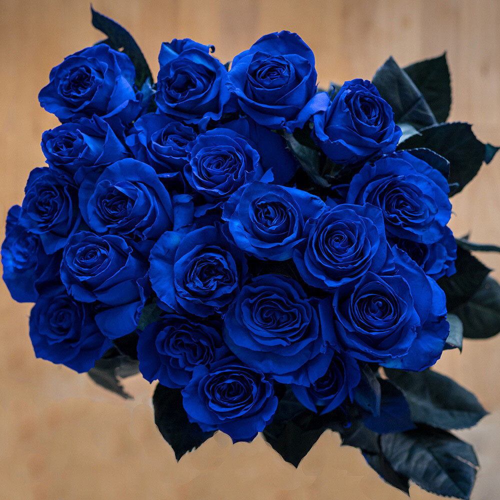24 Roses Tinted Blue