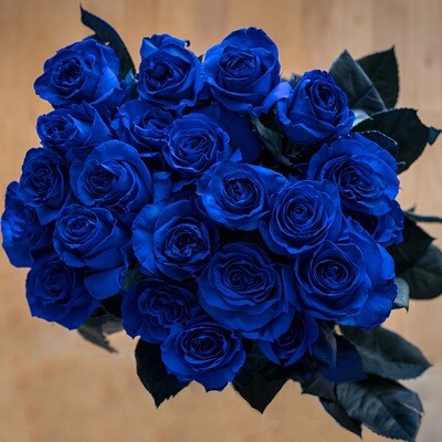 48 Roses Tinted Blue