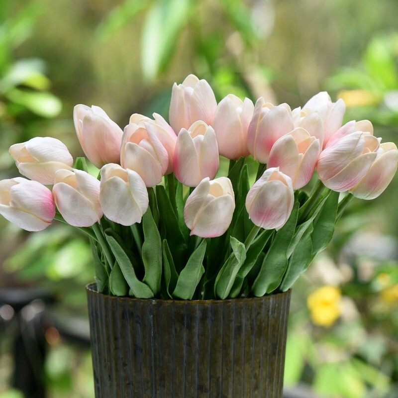 30 stem cut Tulips - Rainbow