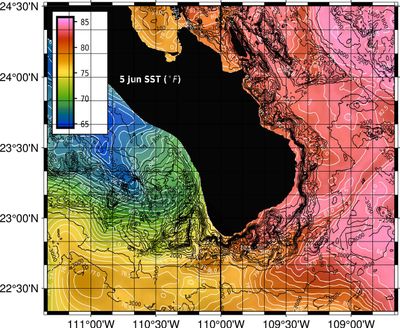 U.S West Coast & Baja Fishing Maps. 1 Year Access. U.S West Coast & Baja Fishing Maps. 1 Year Access.