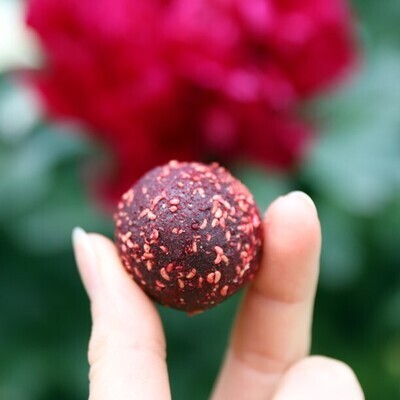 Framboise Cacao Duo (2x20gr)