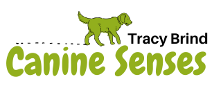 Canine Senses