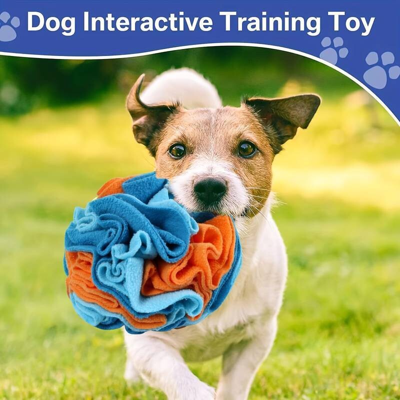 Snuffle Ball (Blue and Orange)