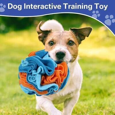 Snuffle Ball (Blue and Orange)