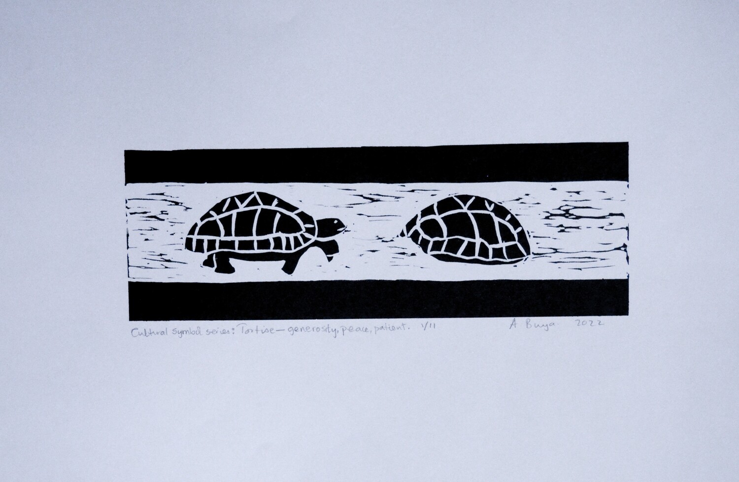 CULTURAL SYMBOL SERIES; Tortise 4/11