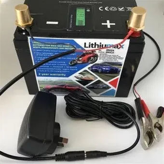 Lithiumax Tender Maintenance Charger