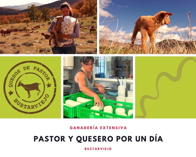 Pastor y quesero por un día