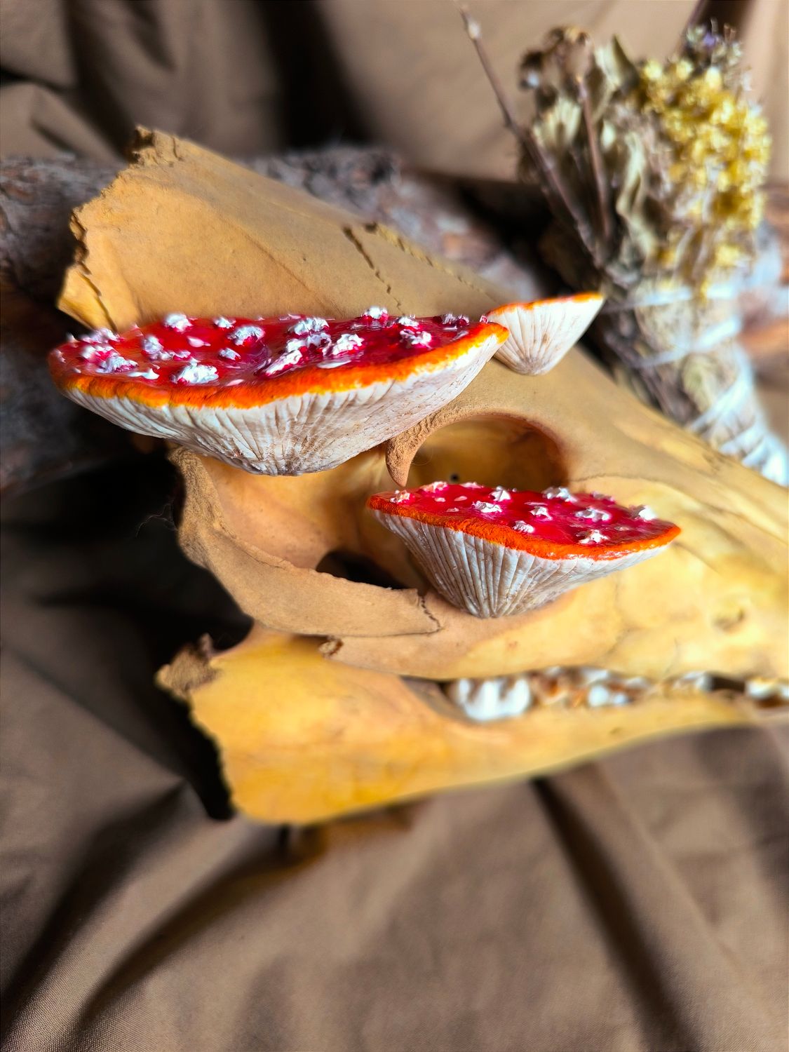 Amanitas Pins