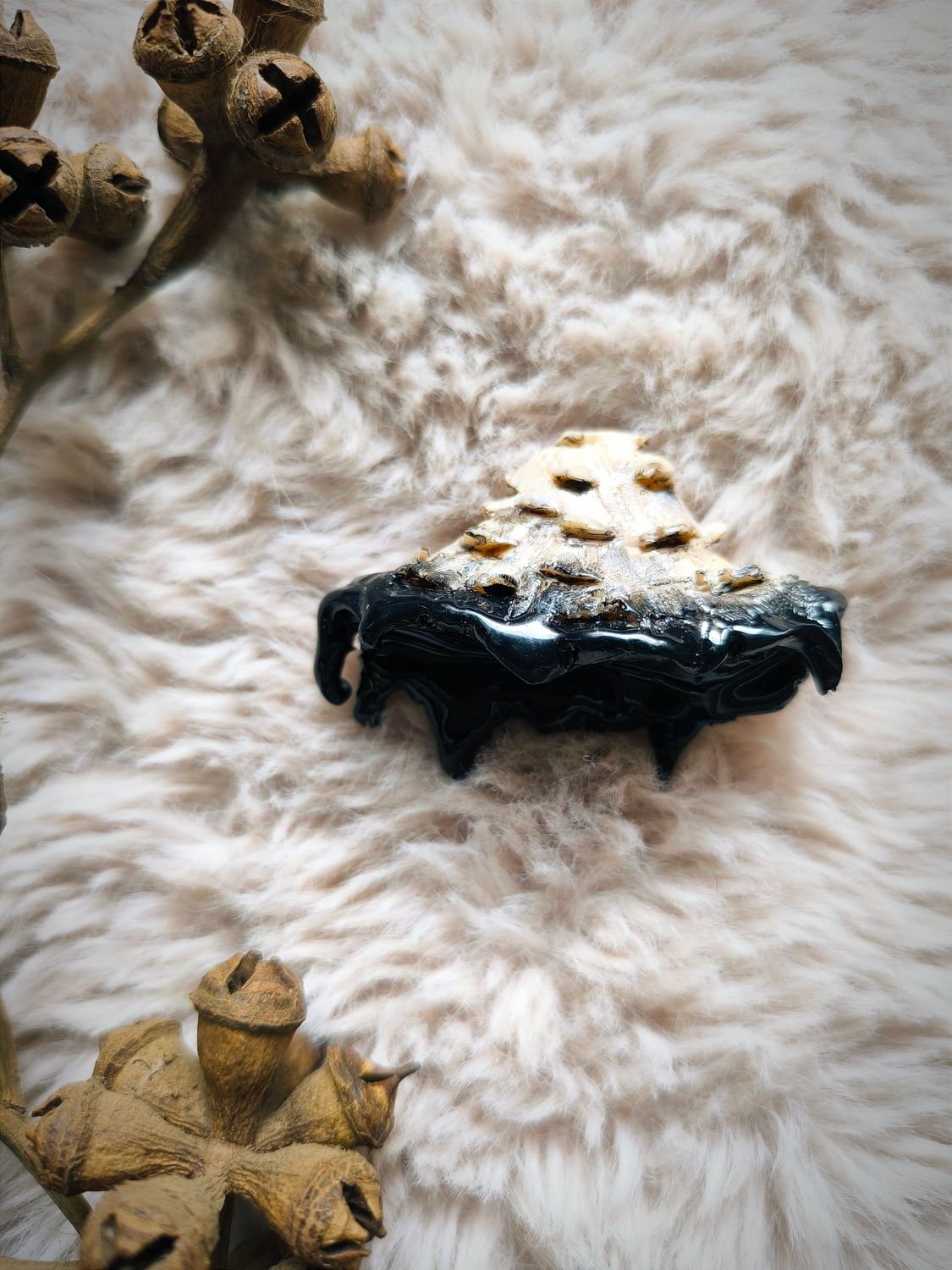 Bolet místico pin