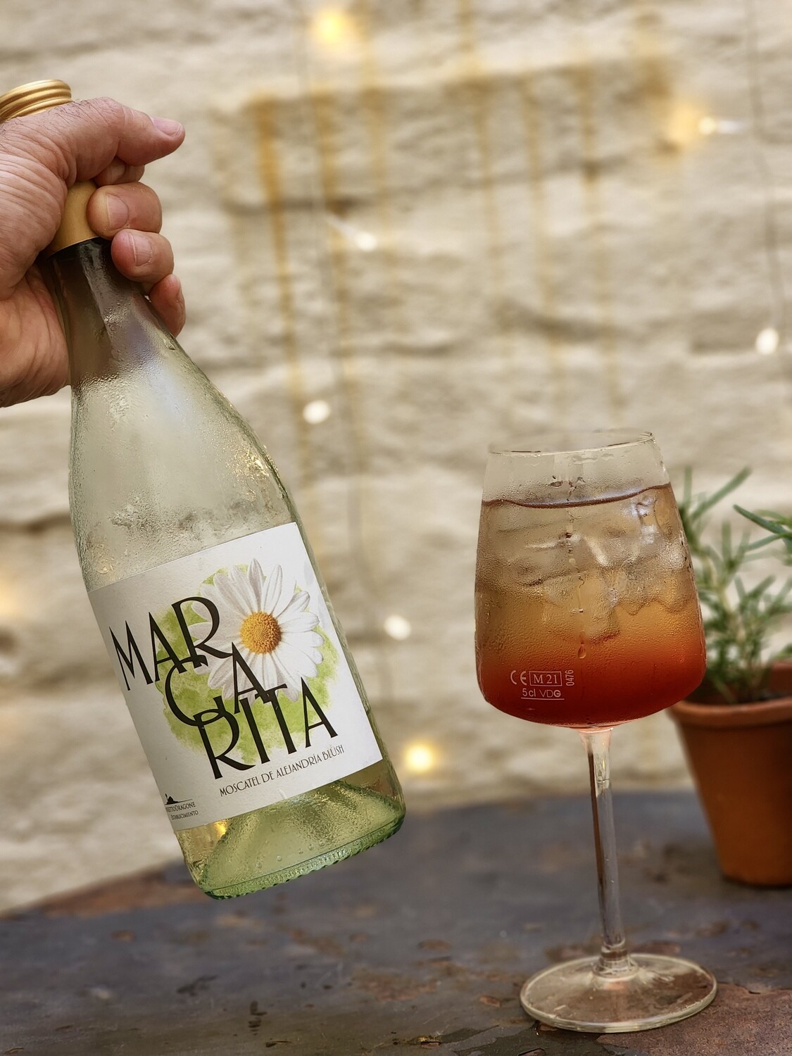 Margarita Blush