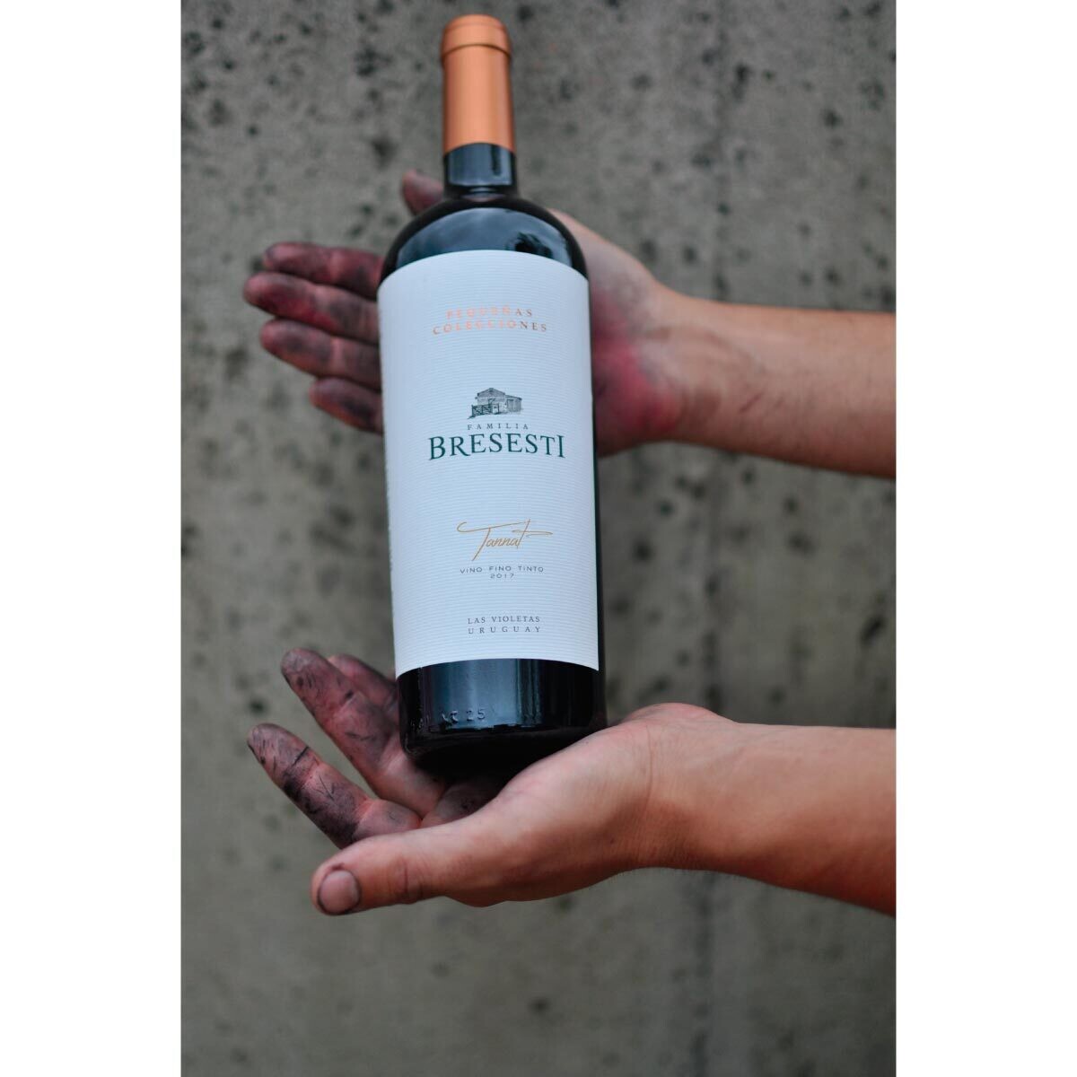 Pequeñas Colecciones Tannat