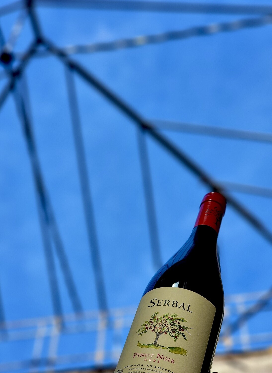 Serbal Bodega Atamisque