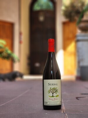 Serbal Bodega Atamisque