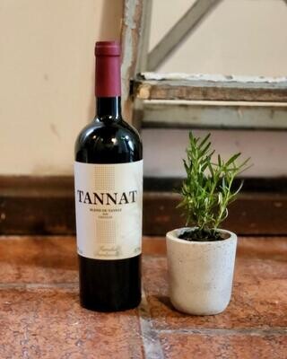 Cajón TANNAT