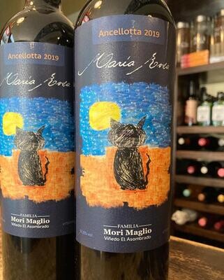 Maria Rosa Ancellota