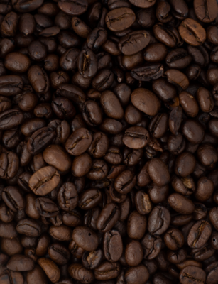 Café Robusta - Moka