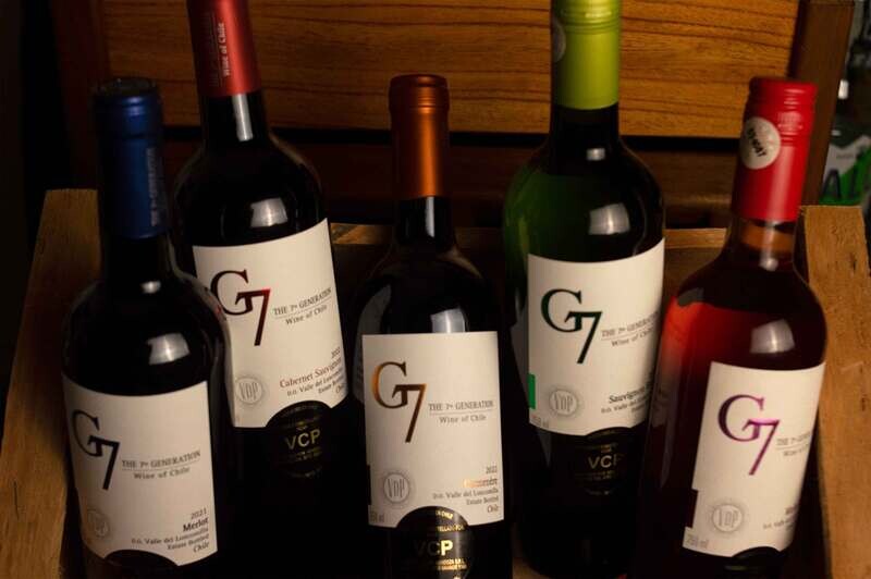 Pack de 6 botellas surtidas G7 Varietales