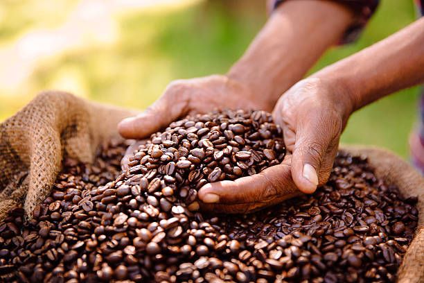 Café Orgánico Monte