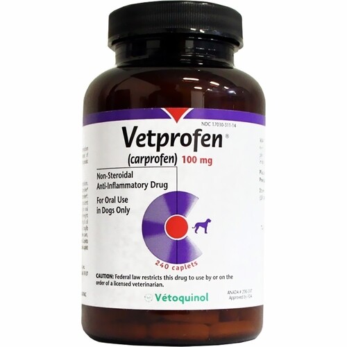 Vetprofen 100 mg Chewable