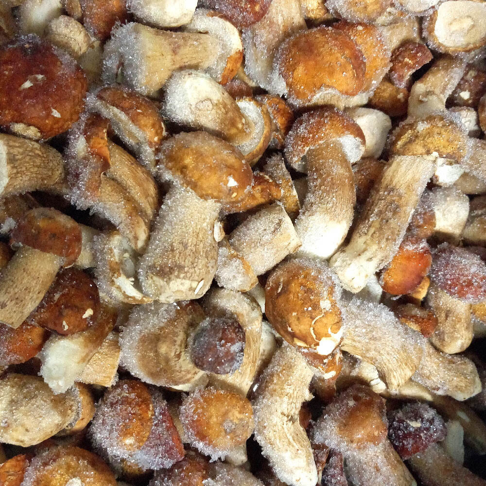 Frz Whole Porcini Mushrooms Extra 10 Kg