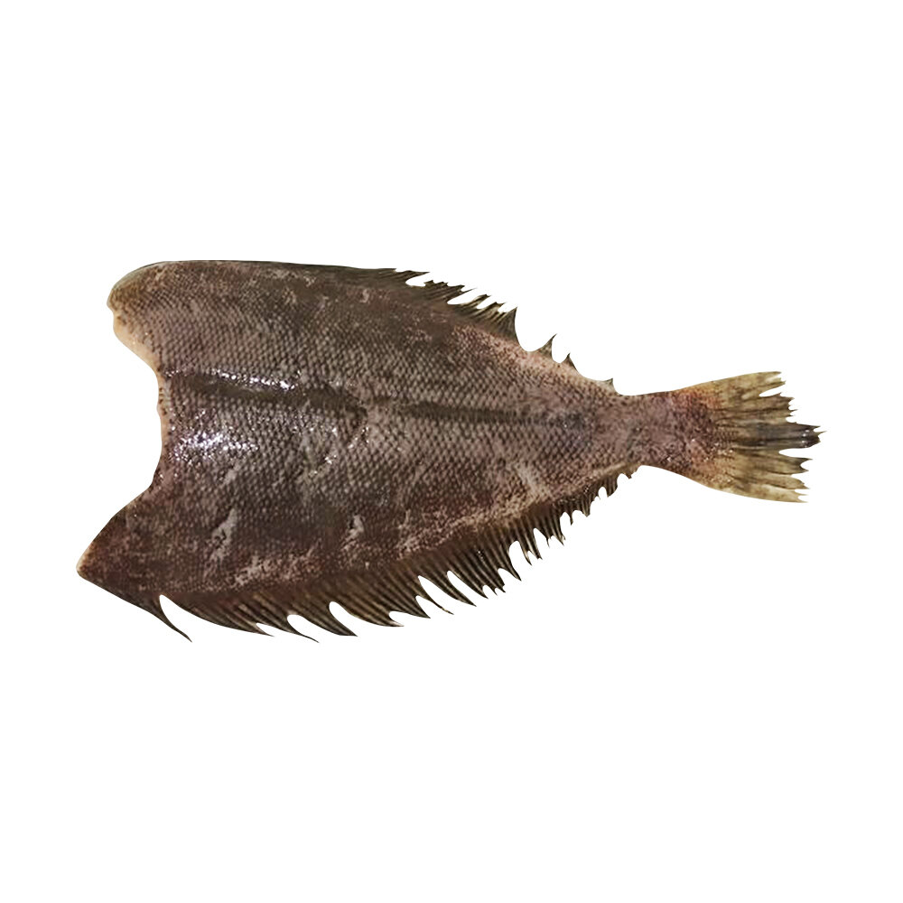 Frz Whole Halibut Head Off