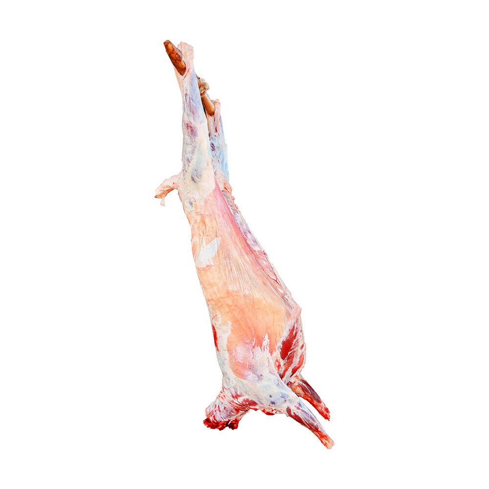Aust Lamb Carcase