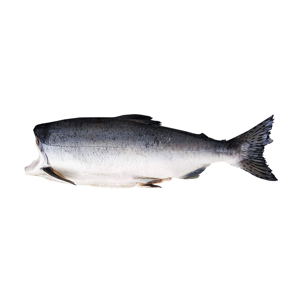 Salmon Frozen Head-Off Norway 3-4 Kg