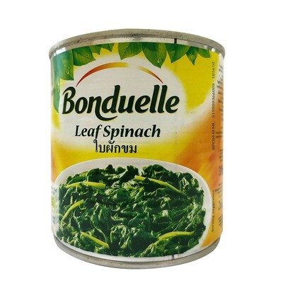 Leaf Spinach