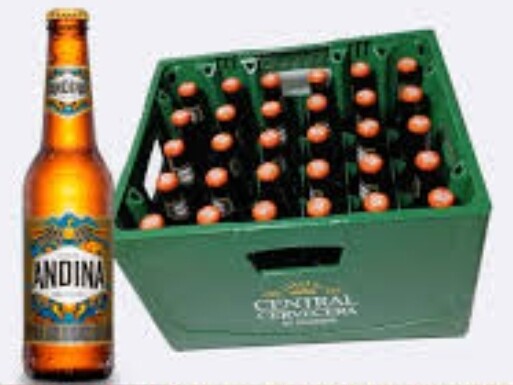 Andina 330 ML x30