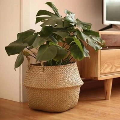 Woven Wonder Plant Basket