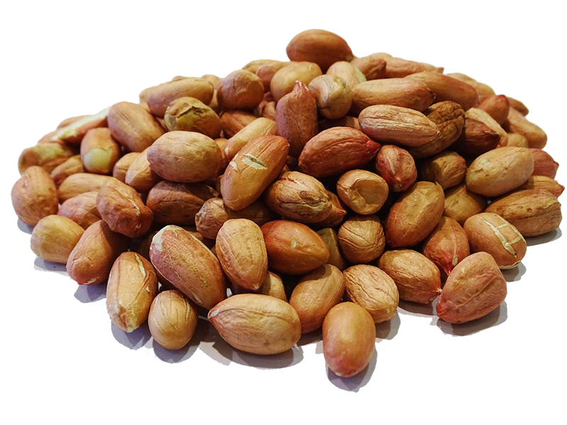 Grote vliespinda's