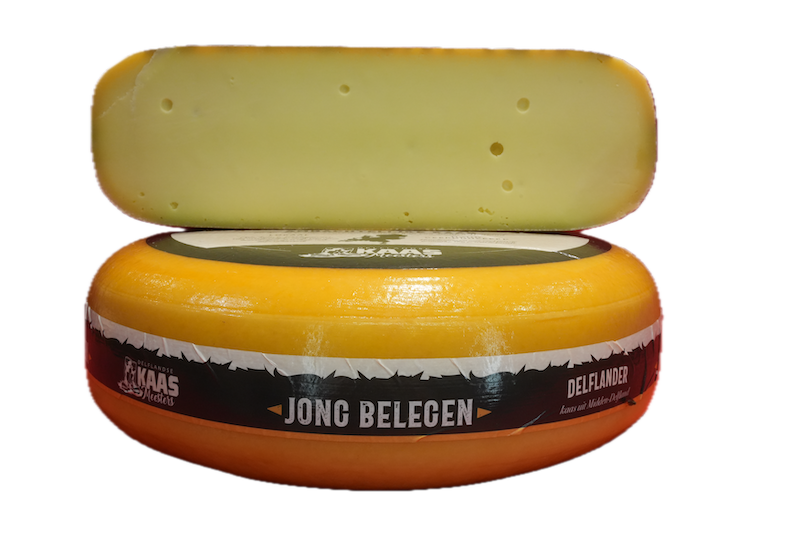 Delflander jong belegen