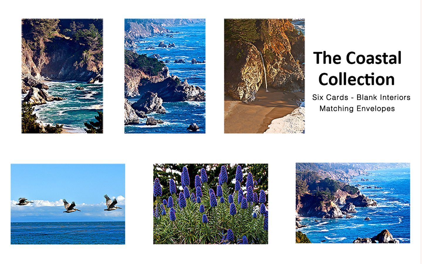 NOTE CARDS    Coastal Collection