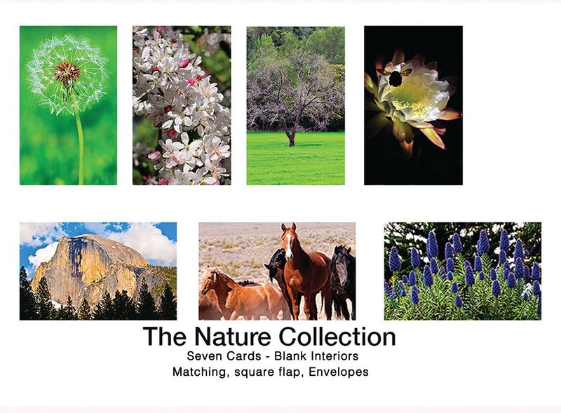 NOTE CARDS   The Nature Collection    Seven Cards